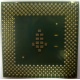 Процессор Intel Celeron 1000A SL5ZF (1000MHz /256kb /100MHz /1.475 V) s370 (Павловский Посад)