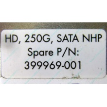 HP 250G 7.2k 432337-001/ 399699-001 / 397377-004 SATA HDD (Павловский Посад)