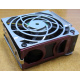 HP 224977 (224978-001) for Proliant ML370 G2/G3/G4 (Павловский Посад).