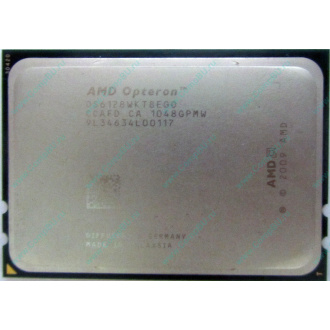 AMD Opteron 6128 OS6128WKT8EGO (Павловский Посад)