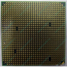 Процессор AMD Athlon 64300+ (1.8GHz) ADA3000IAA4CN s.AM2 (Павловский Посад)