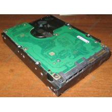 Жесткий диск 300Gb 15k Dell 9CH066-050 6G SAS (Seagate Cheetach ST3300656SS 15K.6) - Павловский Посад